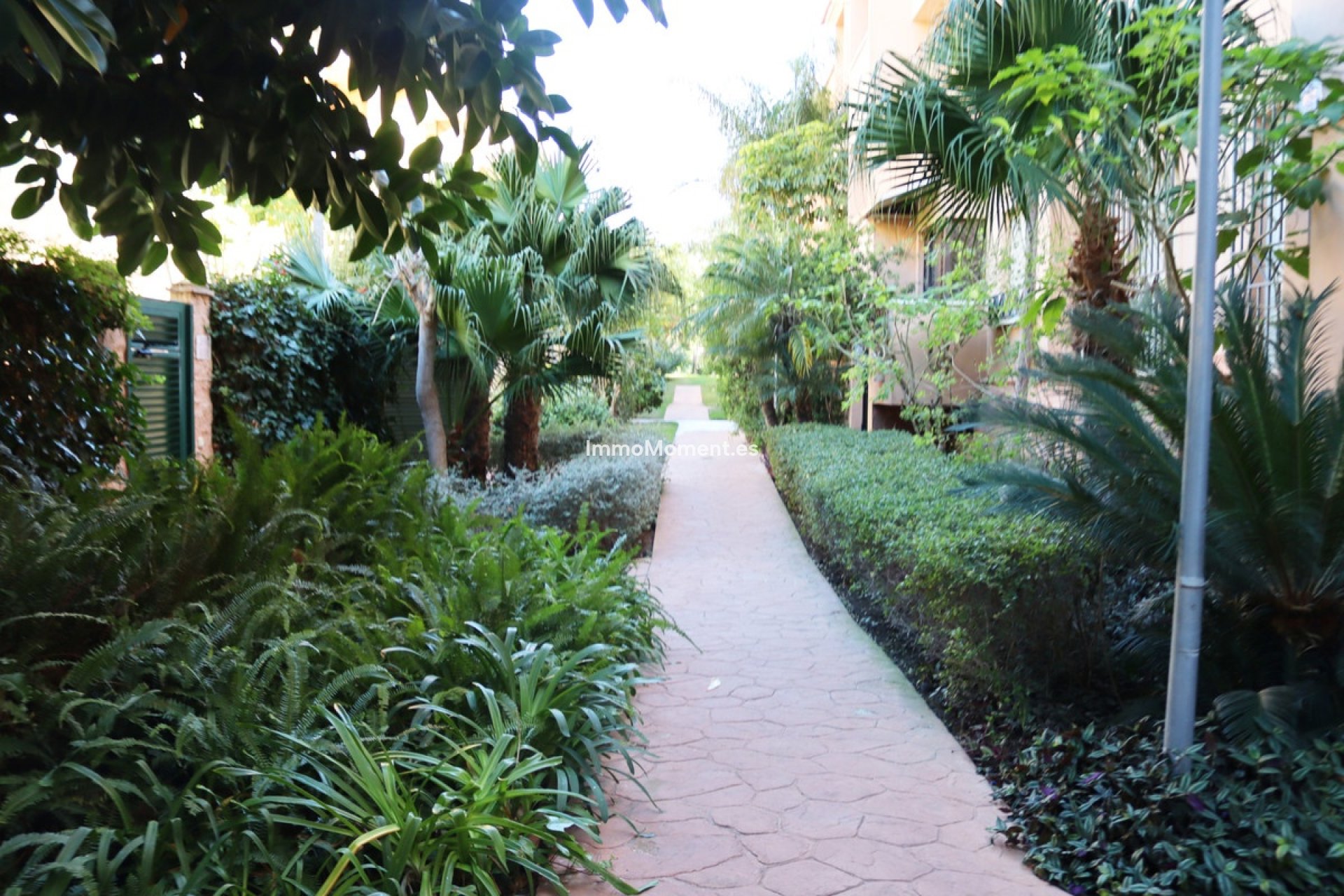 Alquiler a corto plazo - Apartamento - Marbella - Carib Playa