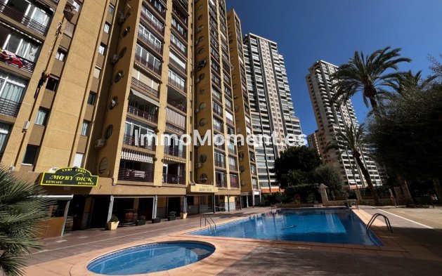 Apartamento - Reventa - Benidorm - Benidorm Centro