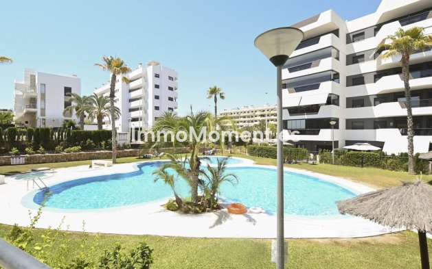 Apartamento - Reventa - Elche - Arenales del Sol