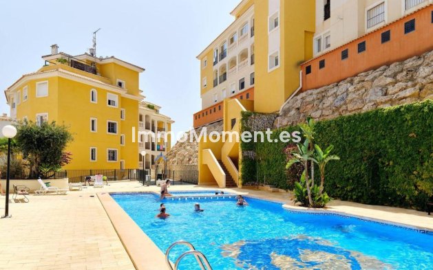Apartamento - Reventa - Orihuela - Campoamor