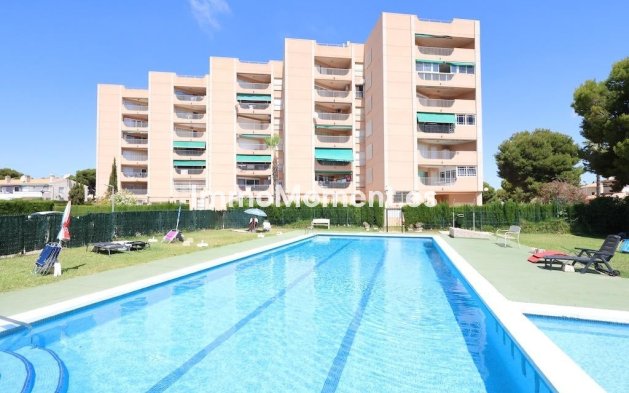 Apartamento - Reventa - Orihuela Costa - Cabo roig - La Zenia