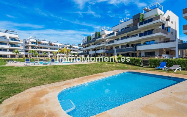 Apartamento - Reventa - Orihuela Costa - Playa Flamenca