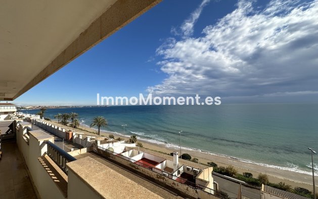 Apartamento - Reventa - Orihuela - Mil Palmeras