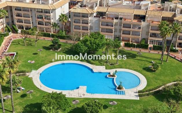 Apartamento - Reventa - Orihuela - Orihuela Centro