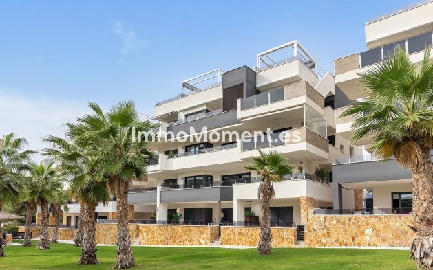 Apartamento - Reventa - Orihuela - Orihuela Centro
