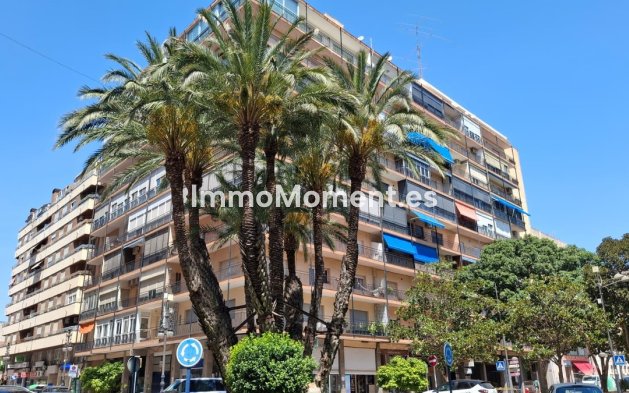 Apartamento - Reventa - Orihuela - Orihuela Centro