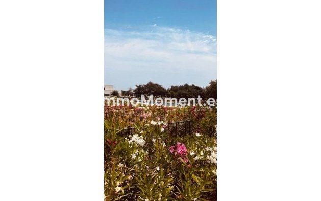 Apartment - Bestaande woning - Sotogrande - Sotogrande