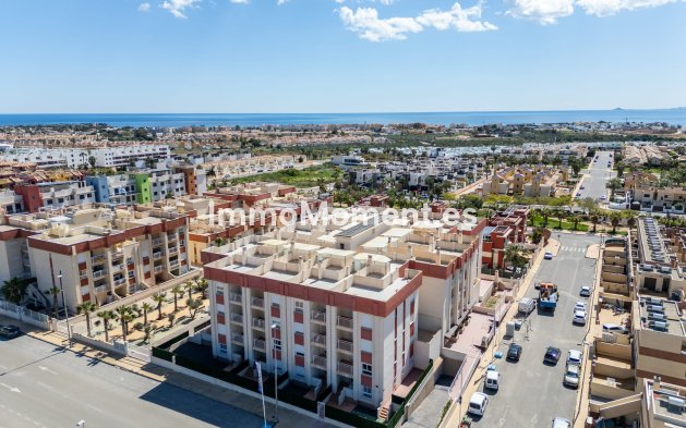 Apartment - Neubau - Orihuela Costa - Orihuela Costa