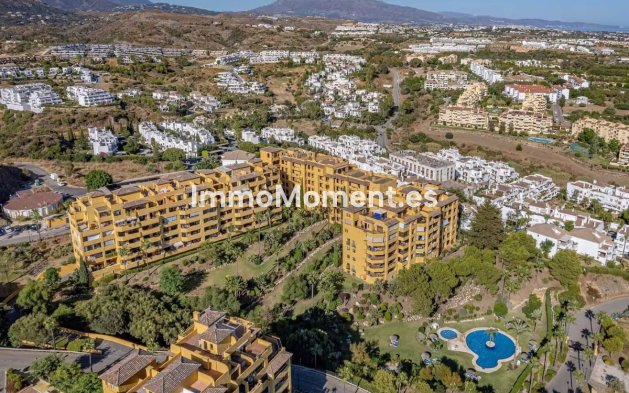 Apartment - Resale - Estepona - Selwo