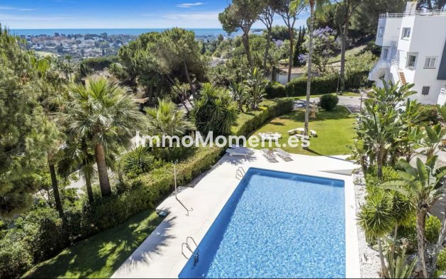 Apartment - Resale - Marbella - Nueva Andalucía