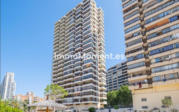 Apartment - Wiederverkauf - Benidorm - Benidorm Centro