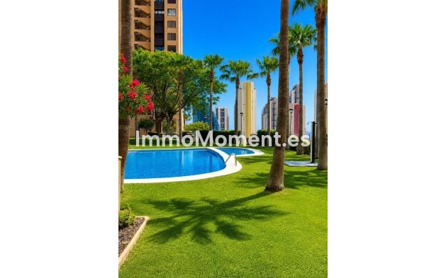 Appartement - Bestaande woning - Benidorm - Benidorm Centro