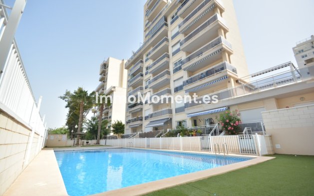 Appartement - Bestaande woning - Guardamar del Segura - Guardamar del Segura Centro