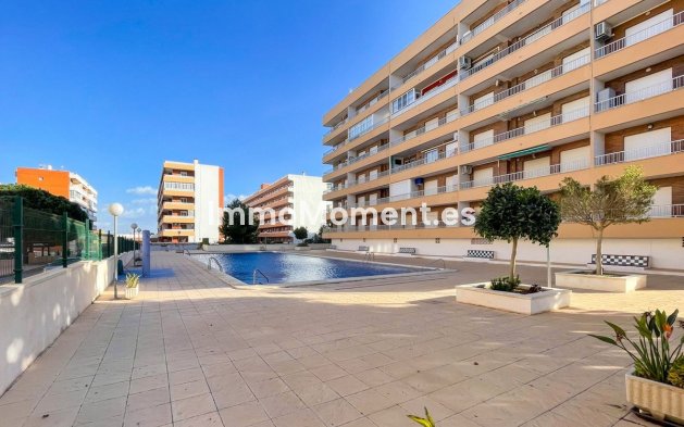 Appartement - Bestaande woning - Orihuela - Punta Prima