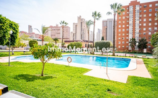 Appartement - Revente - Benidorm - Benidorm Centro