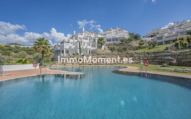 Appartement - Revente - Marbella - Nueva Andalucía