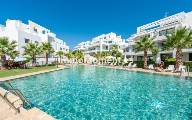 Appartement - Revente - New Golden Mile - New Golden Mile