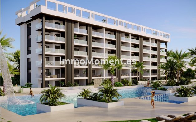 Ático - Obra nueva - Torrevieja - Torrevieja