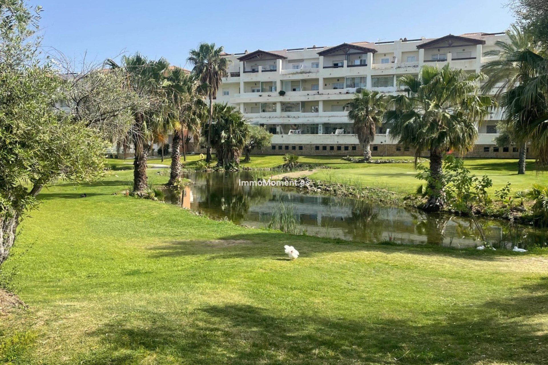 Bestaande woning - Appartement - Benalmadena - Benalmadena Centro