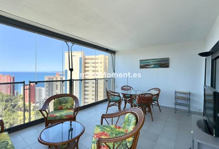 Bestaande woning - Appartement - Benidorm - Benidorm Centro