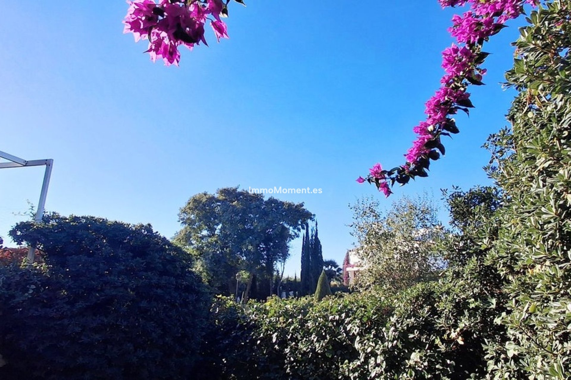 Bestaande woning - Appartement - Casares - Casares Centro