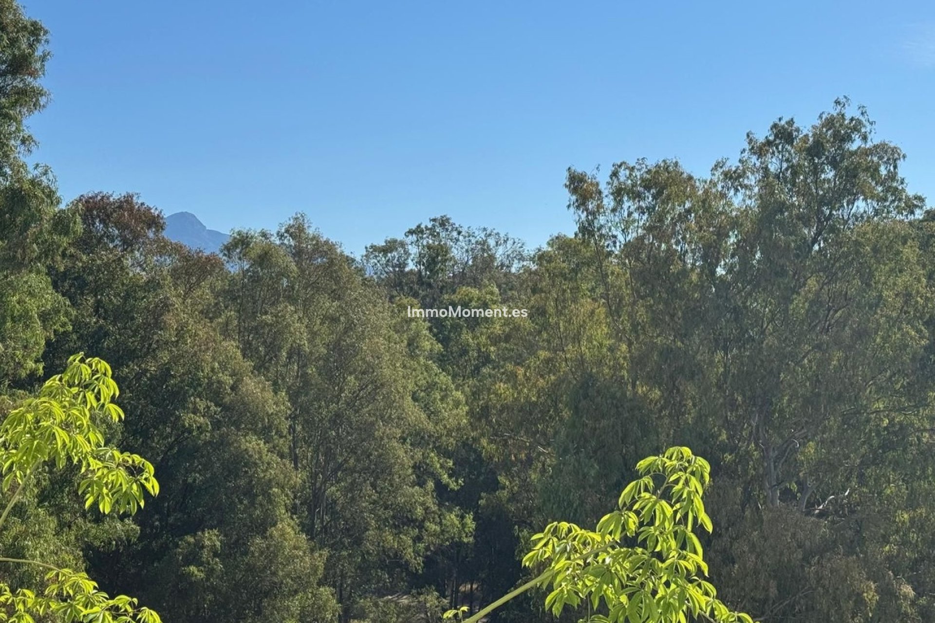 Bestaande woning - Appartement - Estepona  - Atalaya