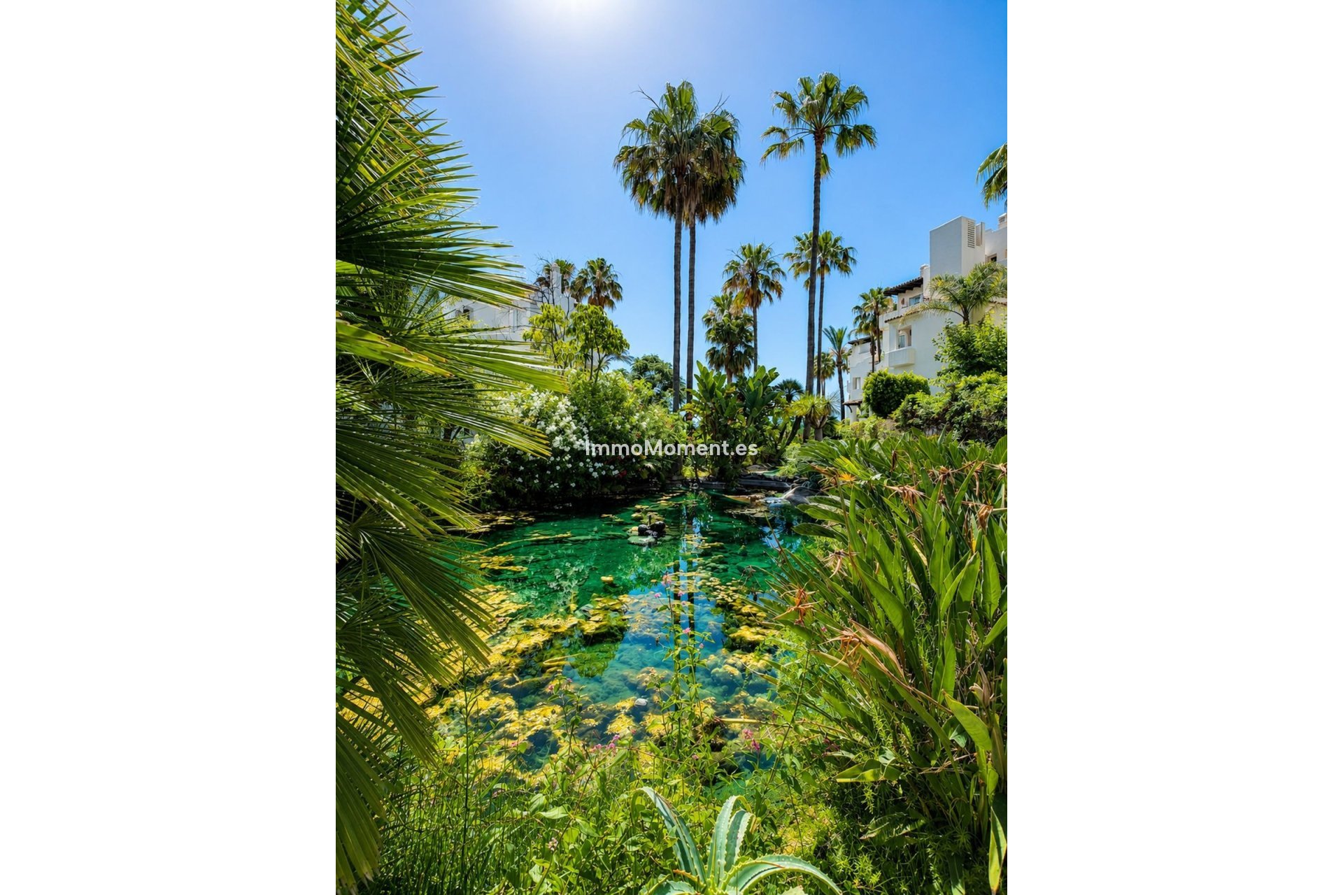 Bestaande woning - Appartement - Estepona  - Costalita
