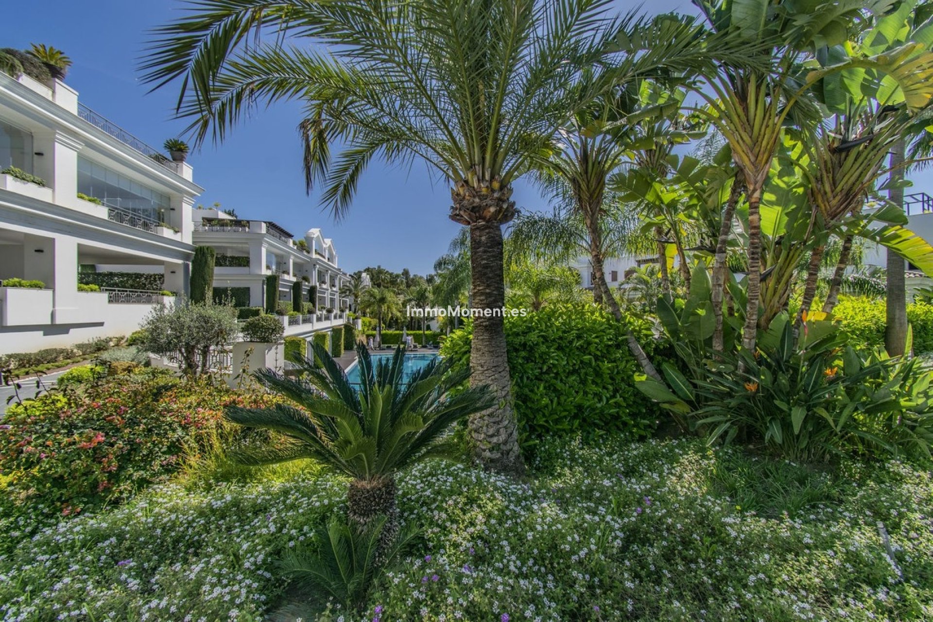 Bestaande woning - Appartement - Estepona  - Estepona Centro