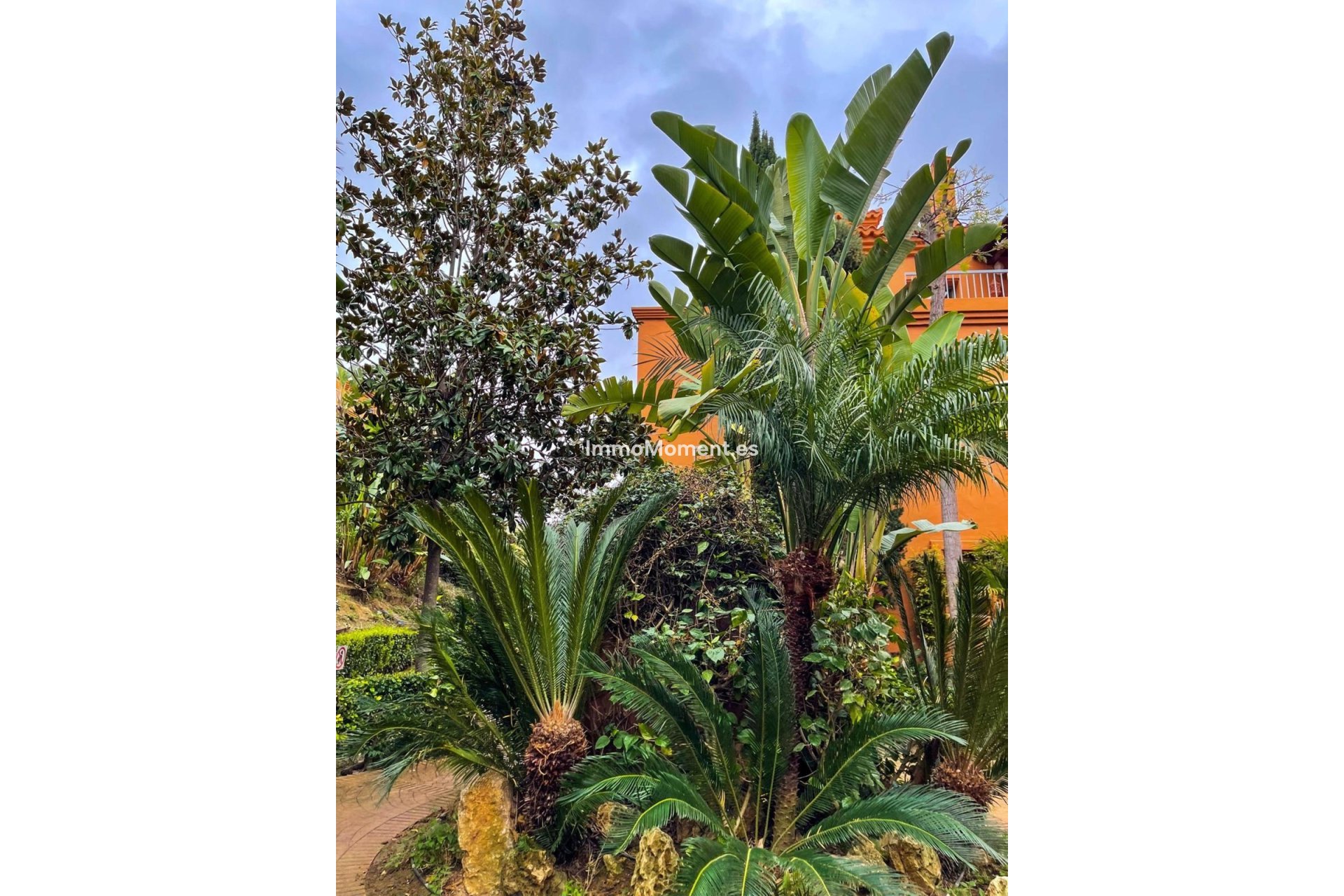 Bestaande woning - Appartement - Estepona  - Estepona Centro