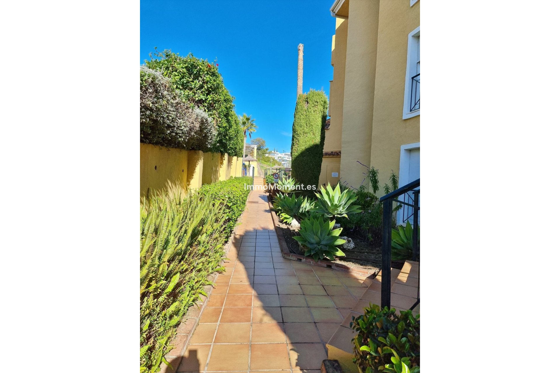 Bestaande woning - Appartement - Estepona  - Estepona Centro