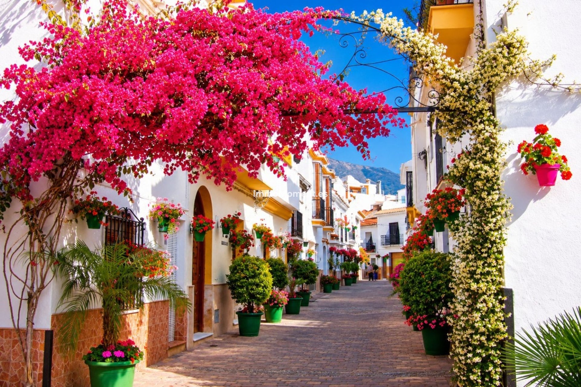 Bestaande woning - Appartement - Estepona  - Estepona Centro
