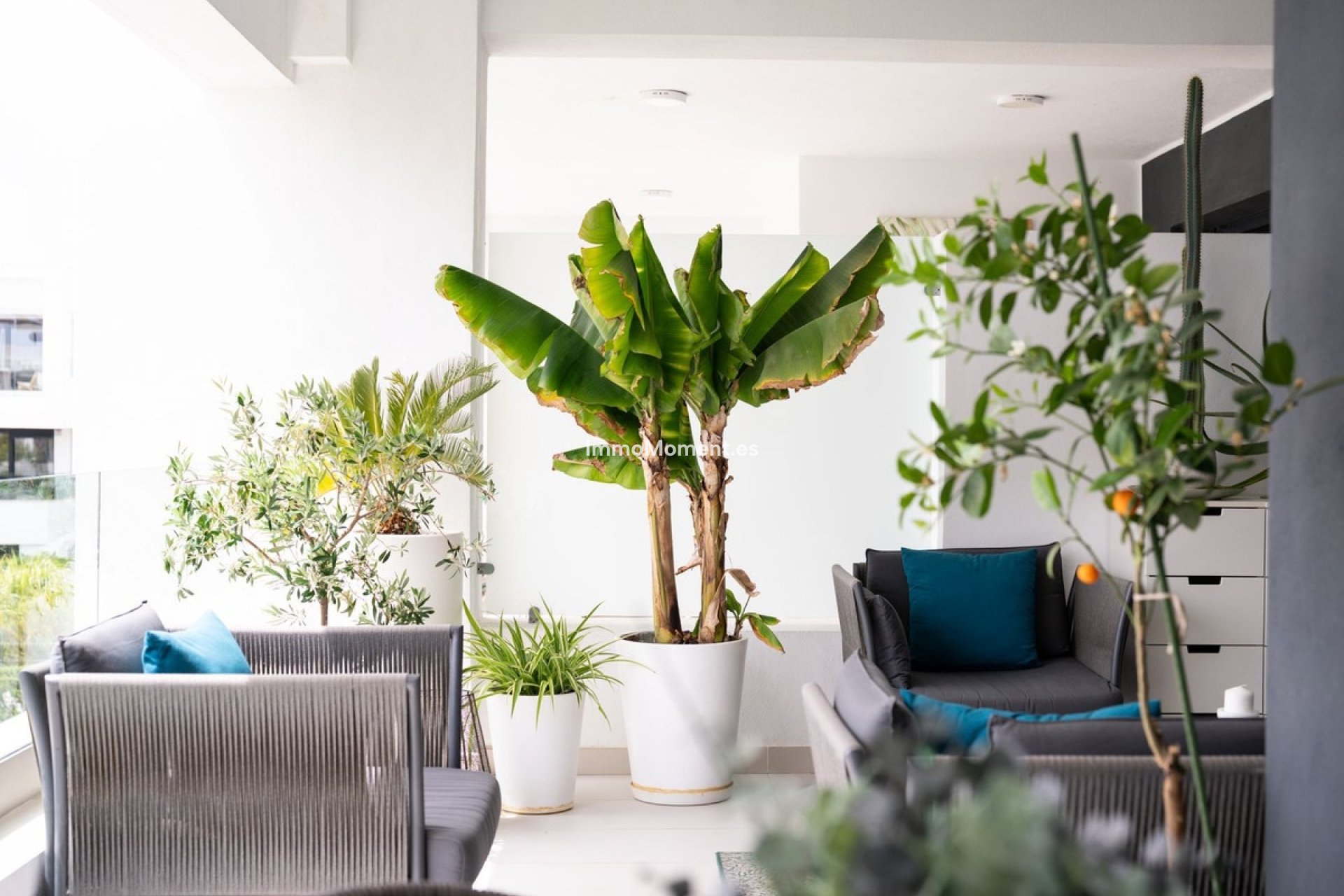Bestaande woning - Appartement - Estepona  - Estepona Centro