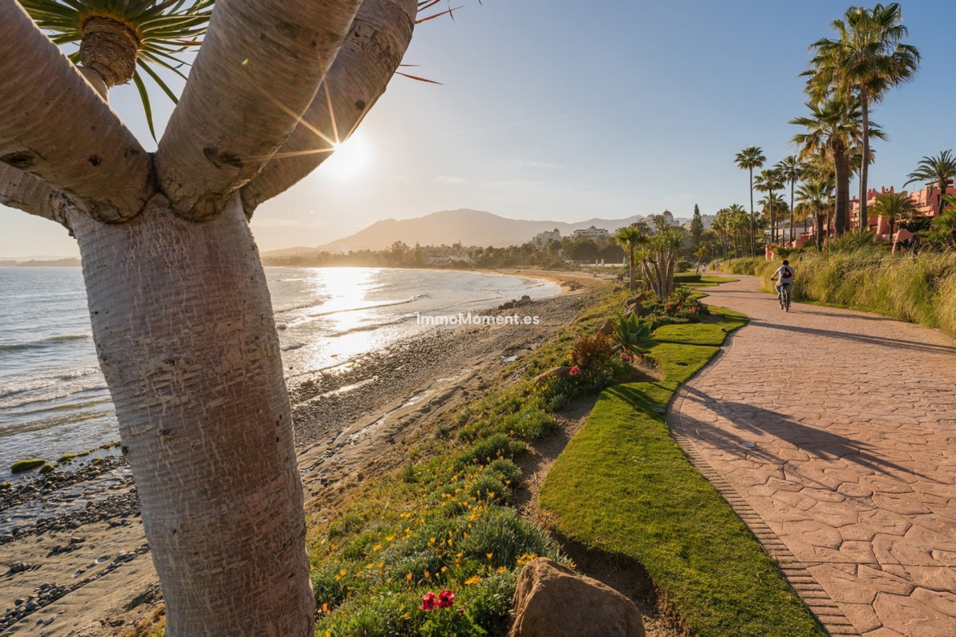 Bestaande woning - Appartement - Estepona  - Estepona Centro