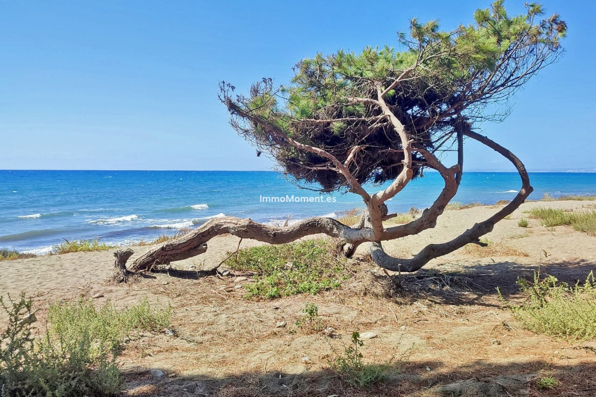 Bestaande woning - Appartement - Estepona  - New Golden Mile