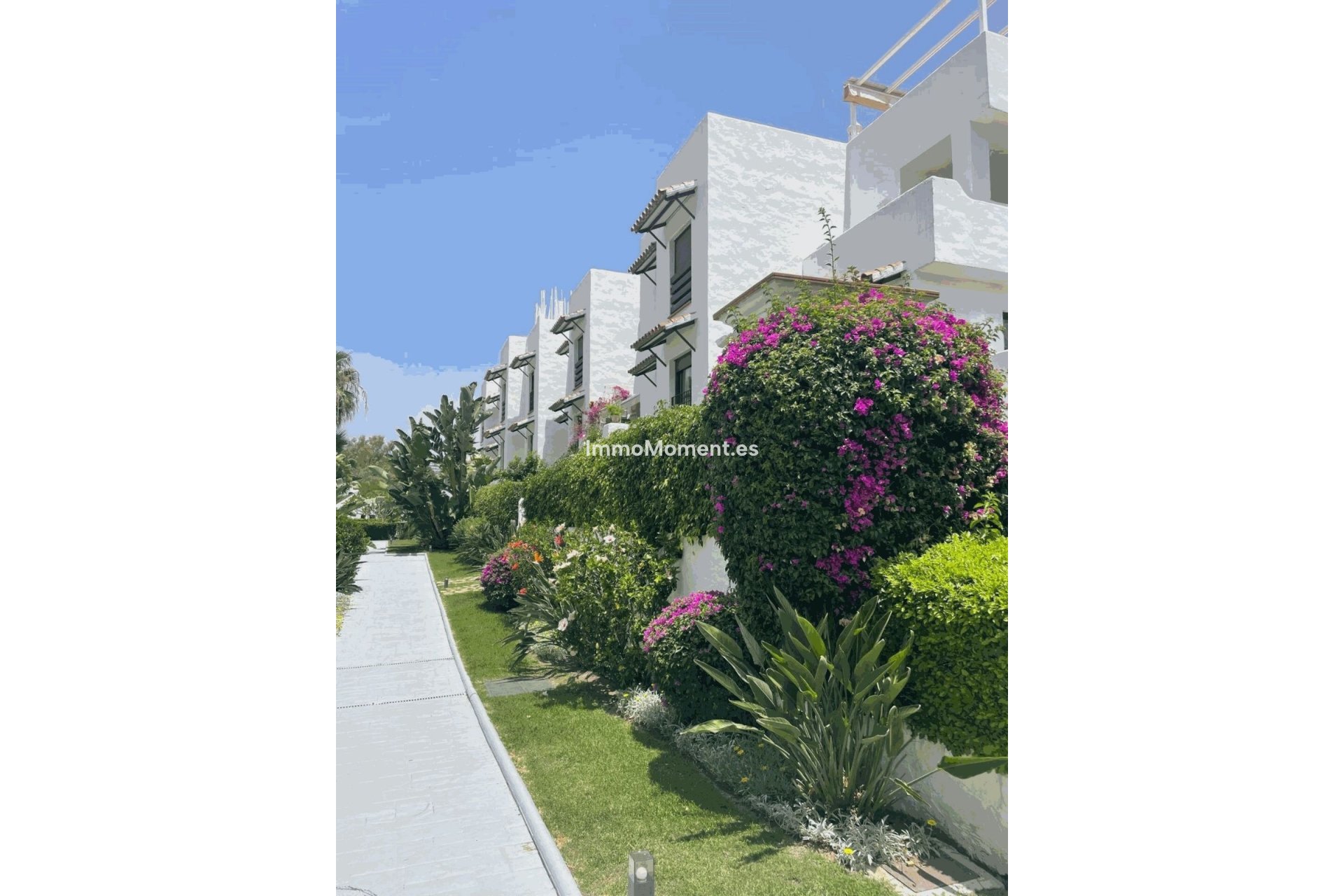Bestaande woning - Appartement - Estepona  - Selwo
