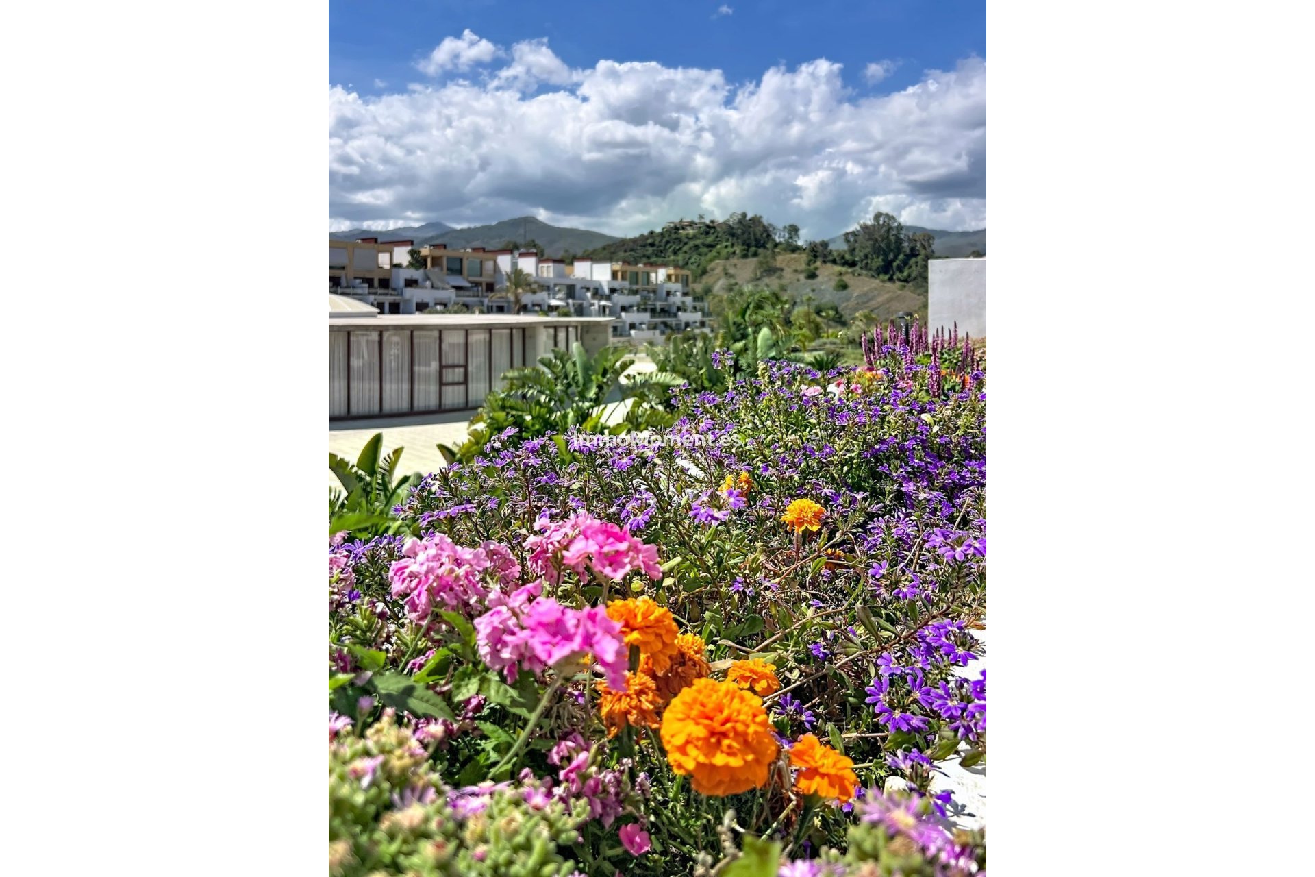 Bestaande woning - Appartement - Estepona  - Selwo
