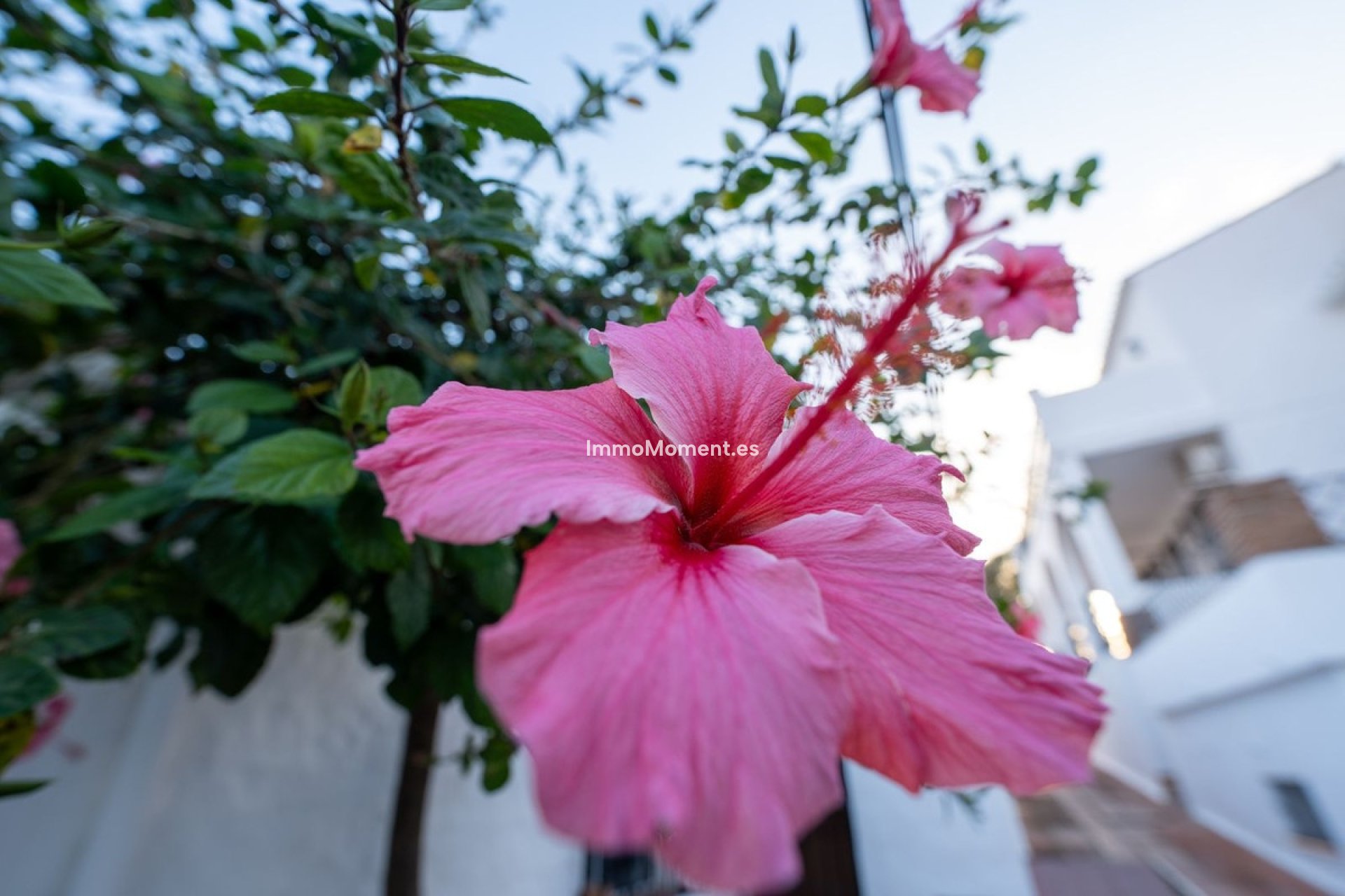 Bestaande woning - Appartement - Fuengirola - Torreblanca