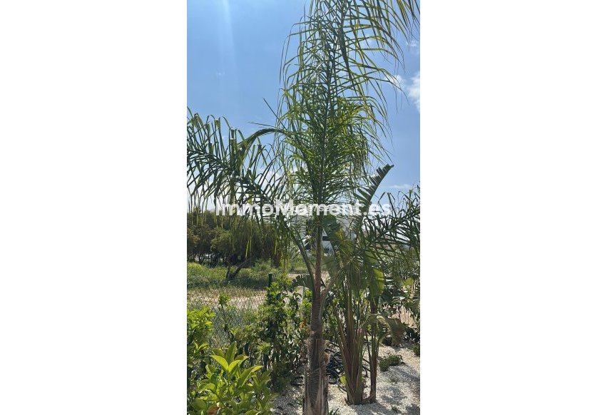 Bestaande woning - Appartement - Jávea - Jávea - Xàbia Centro