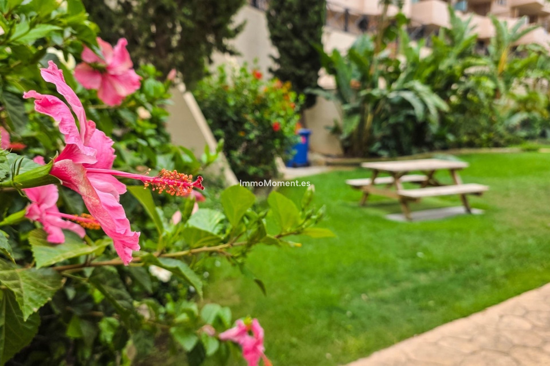 Bestaande woning - Appartement - Manilva - La Duquesa
