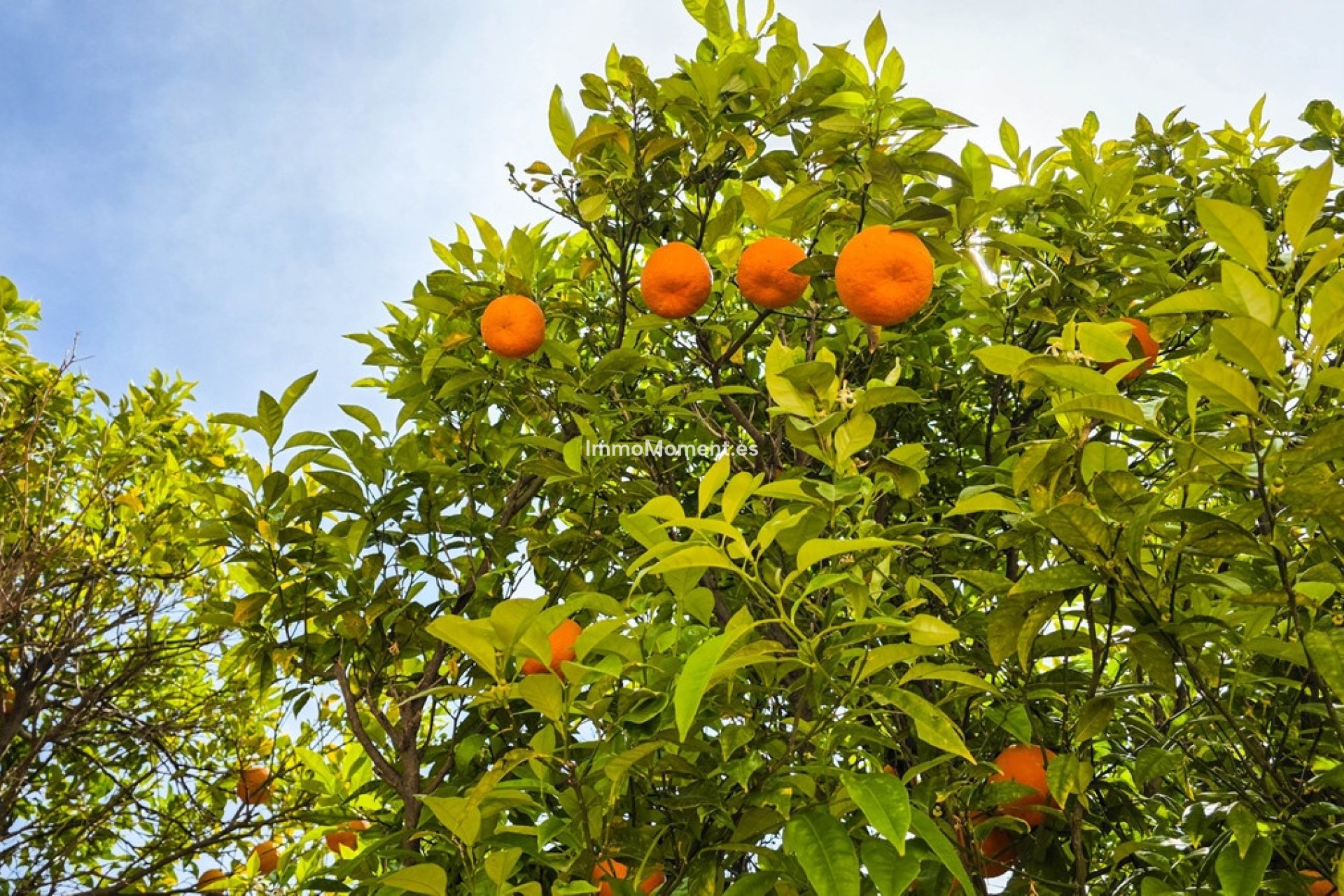 Bestaande woning - Appartement - Manilva - La Duquesa