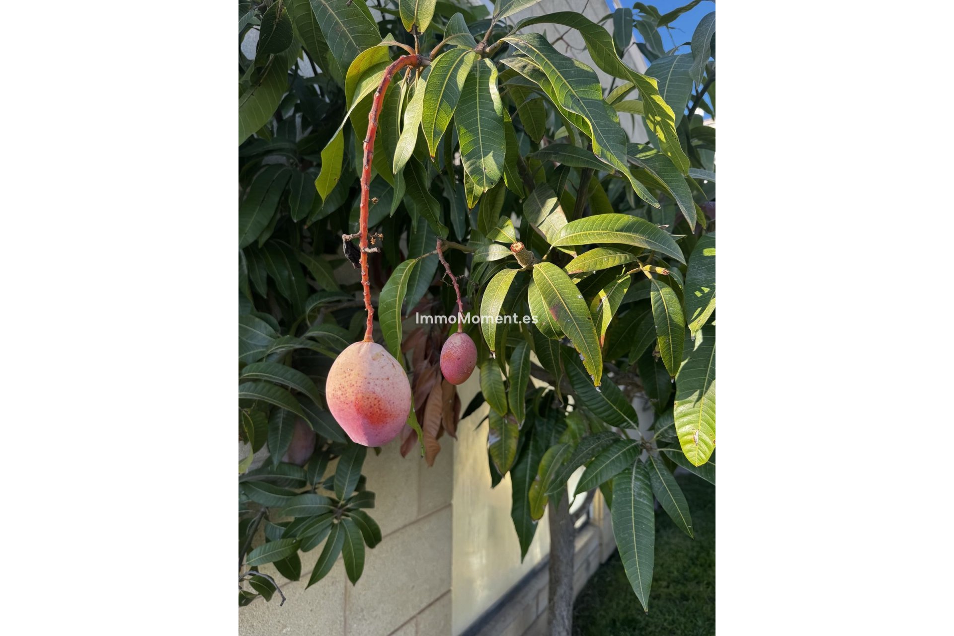 Bestaande woning - Appartement - Marbella - Altos de los Monteros