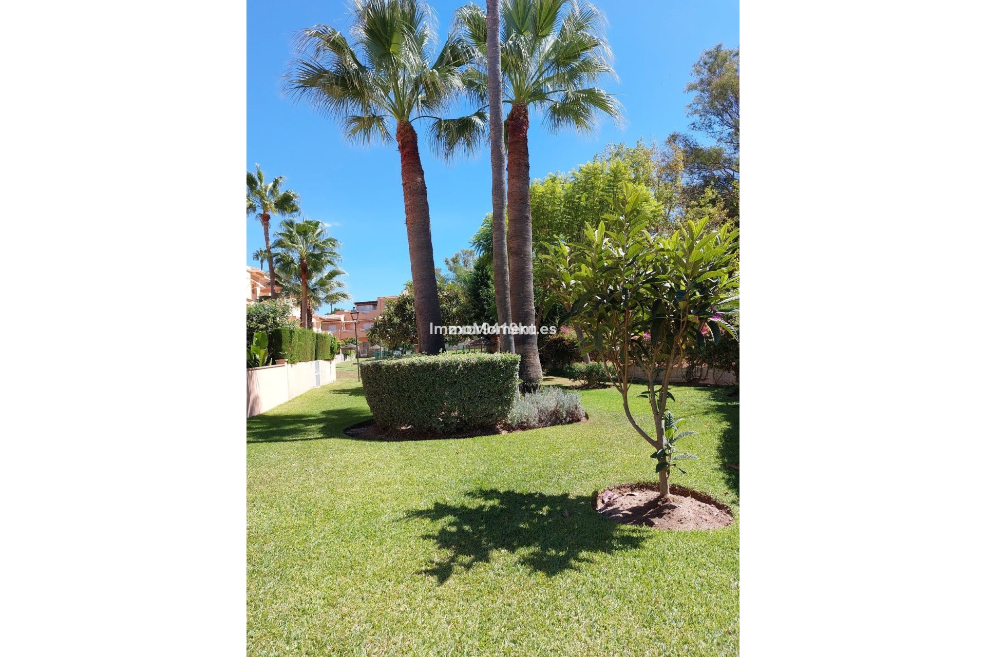 Bestaande woning - Appartement - Marbella - Carib Playa