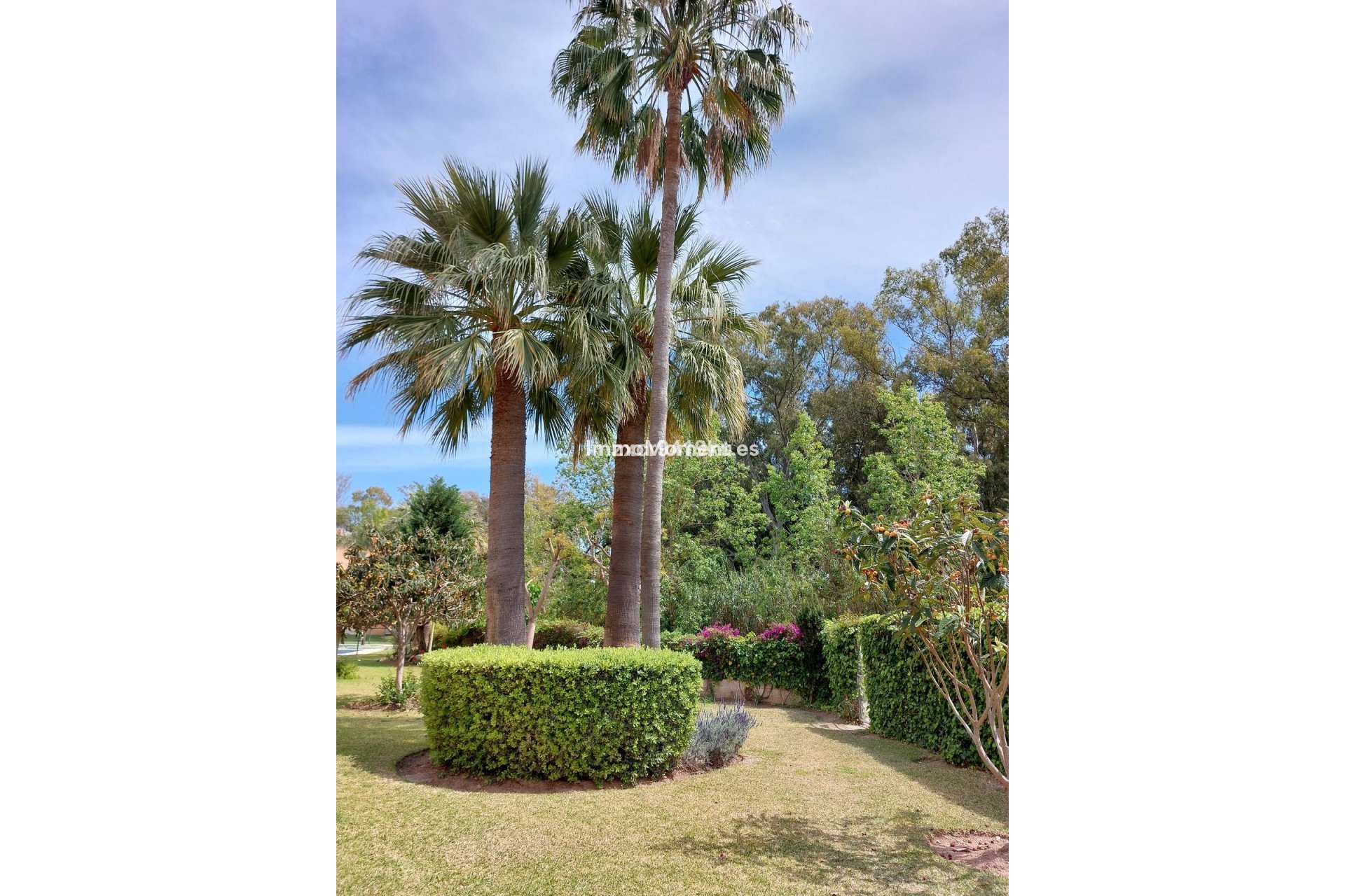Bestaande woning - Appartement - Marbella - Carib Playa