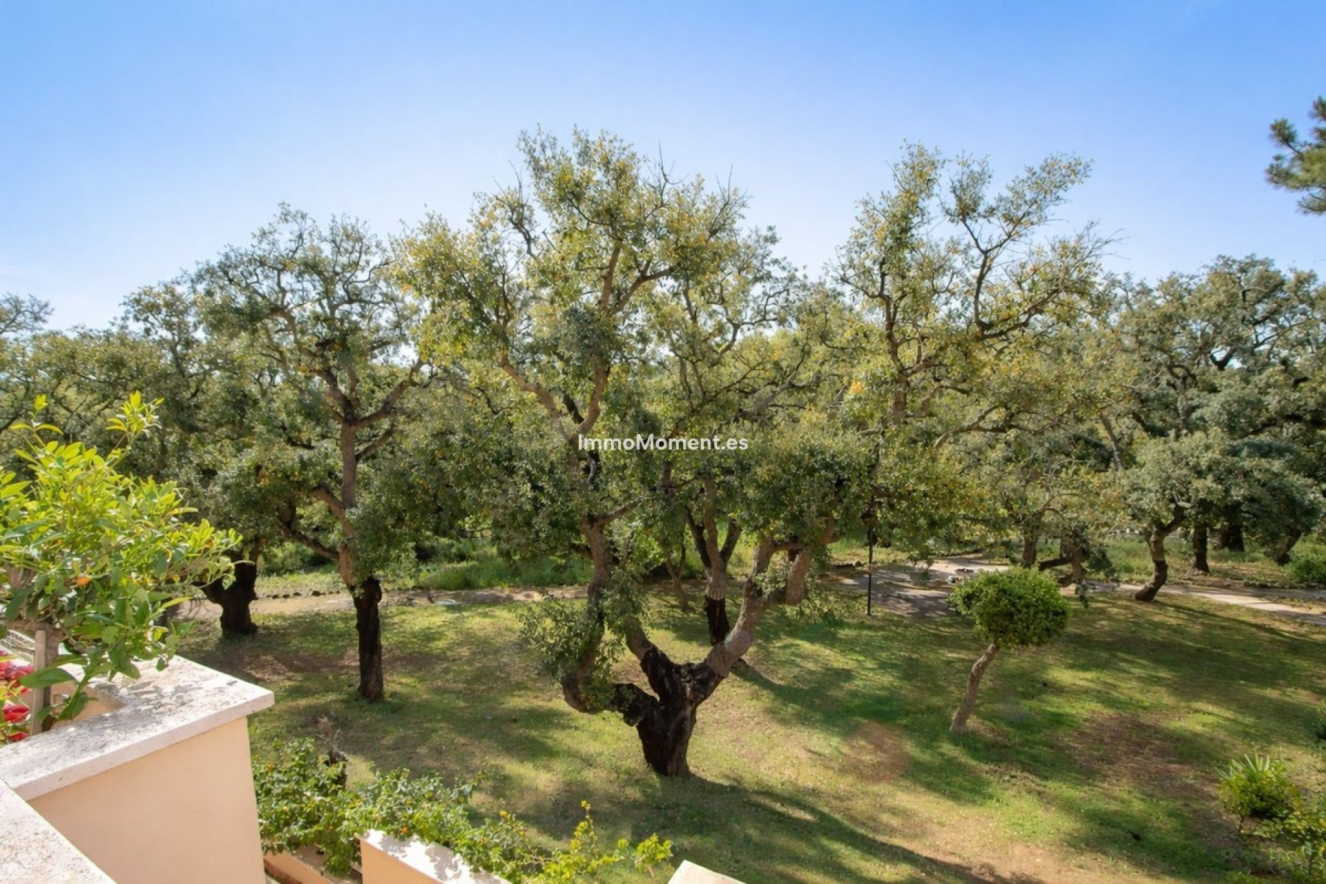 Bestaande woning - Appartement - Marbella - Elviria