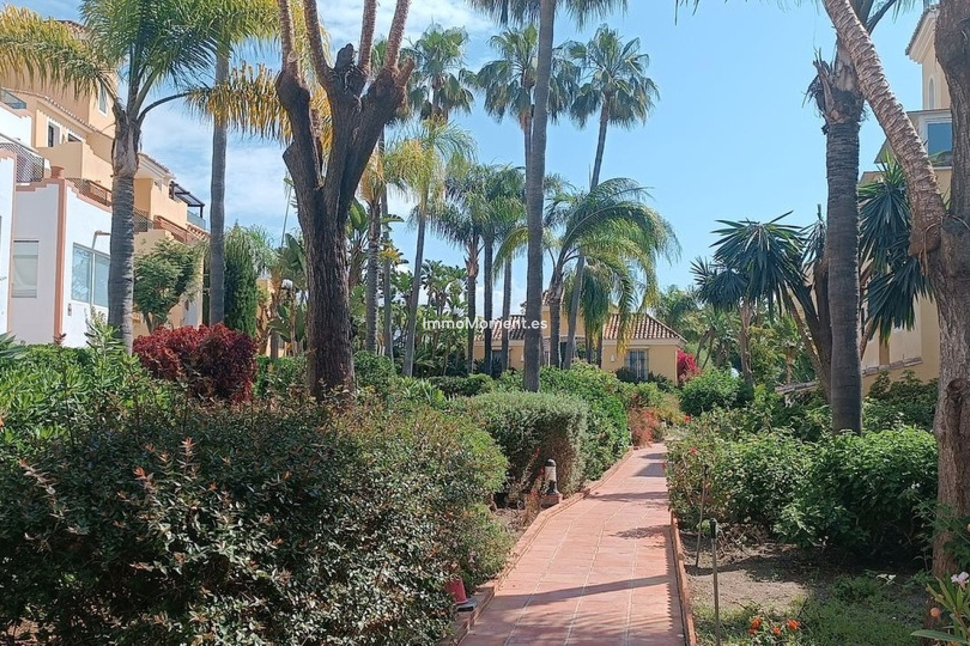 Bestaande woning - Appartement - Marbella - Guadalmina Alta
