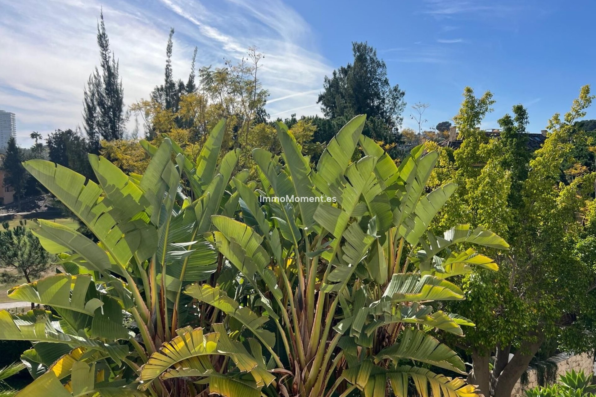 Bestaande woning - Appartement - Marbella - Marbella Centro