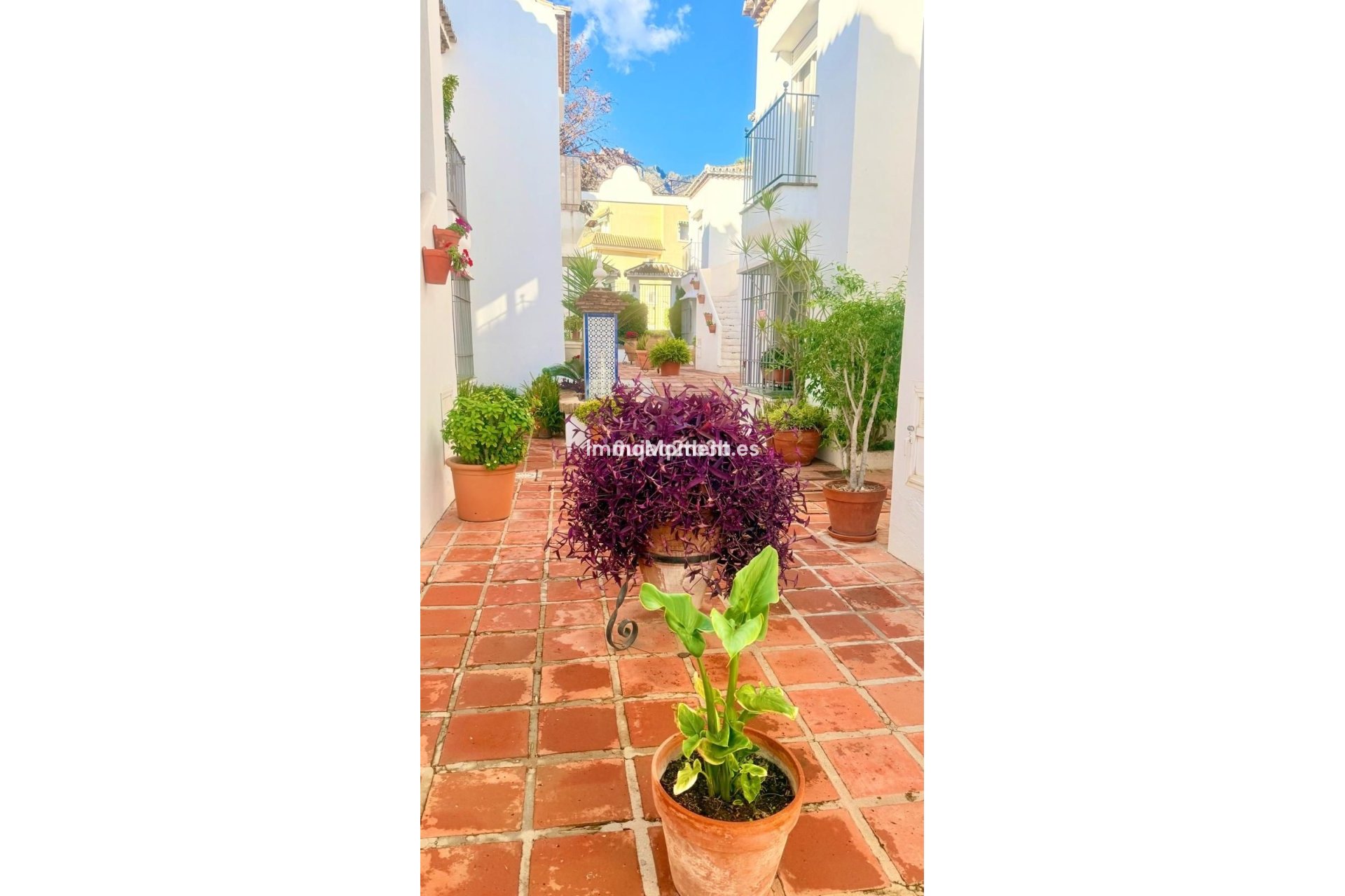 Bestaande woning - Appartement - Marbella - Nagüeles