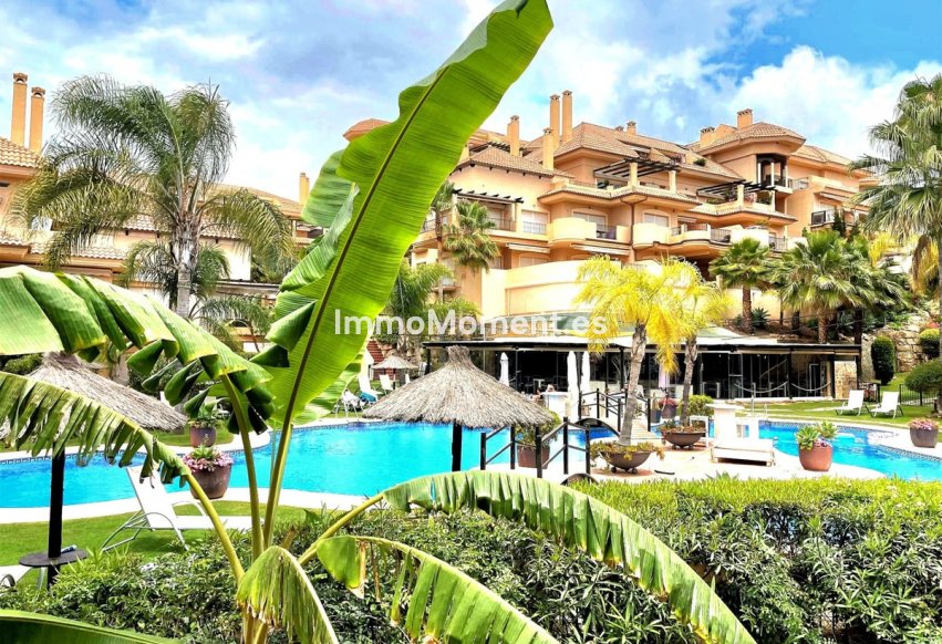 Bestaande woning - Appartement - Marbella - Nueva Andalucía