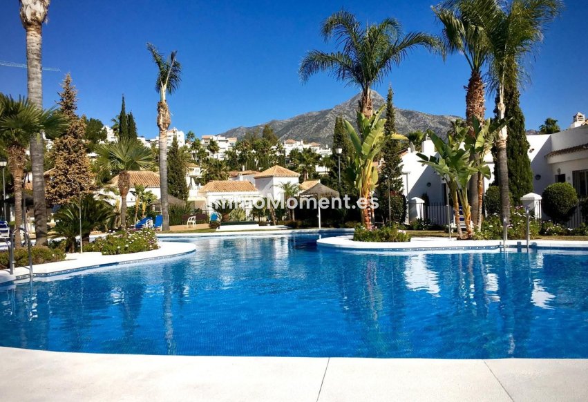 Bestaande woning - Appartement - Marbella - Nueva Andalucía