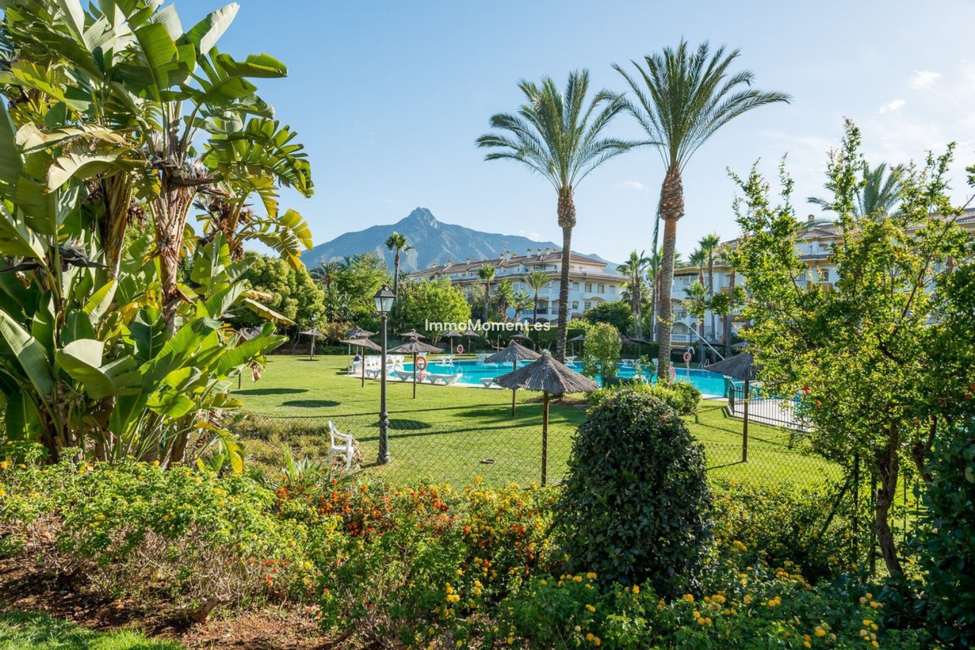 Bestaande woning - Appartement - Marbella - Nueva Andalucía